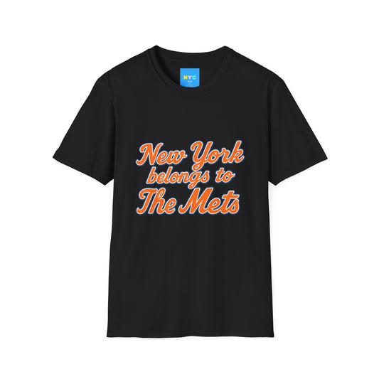 NY belongs to Mts